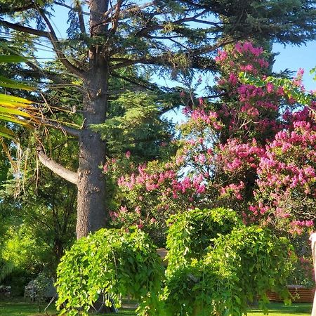 Quinta Ugarte Bed & Breakfast Lujan de Cuyo Ngoại thất bức ảnh