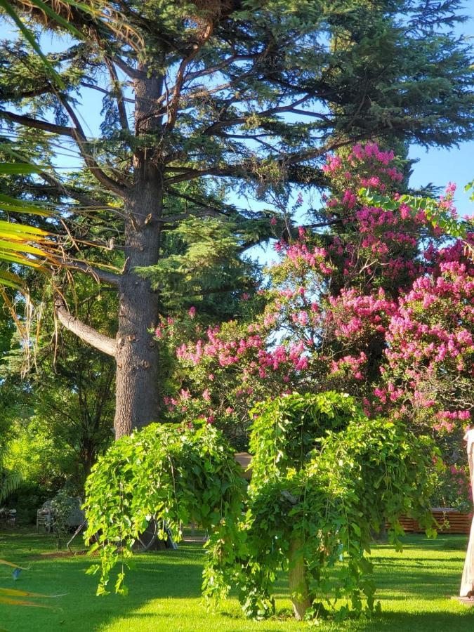 Quinta Ugarte Bed & Breakfast Lujan de Cuyo Ngoại thất bức ảnh