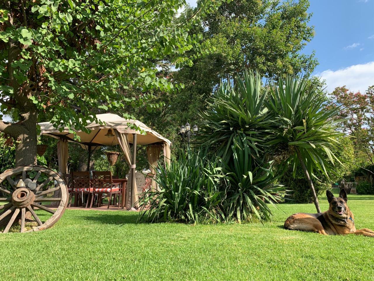 Quinta Ugarte Bed & Breakfast Lujan de Cuyo Ngoại thất bức ảnh