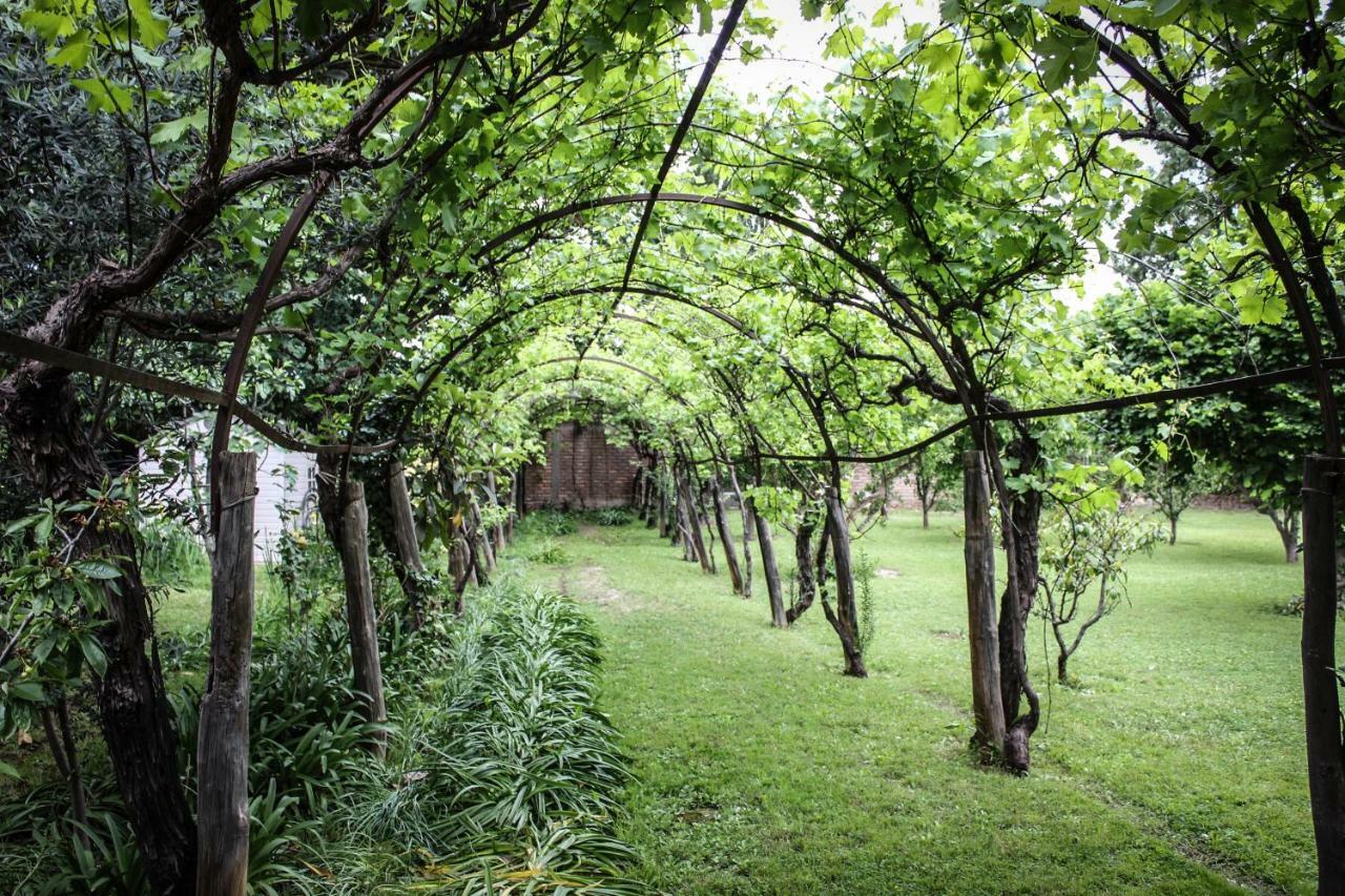 Quinta Ugarte Bed & Breakfast Lujan de Cuyo Ngoại thất bức ảnh
