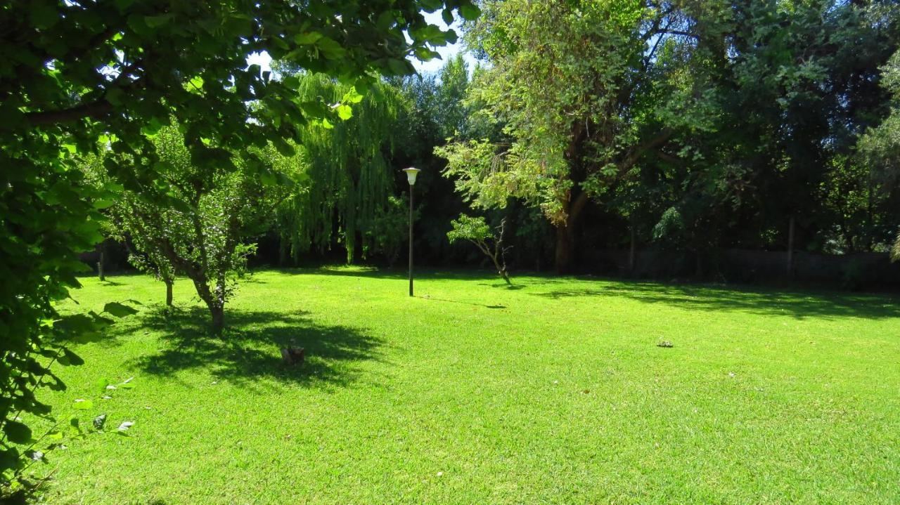 Quinta Ugarte Bed & Breakfast Lujan de Cuyo Ngoại thất bức ảnh